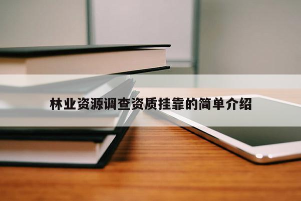 林业资源调查资质挂靠的简单介绍