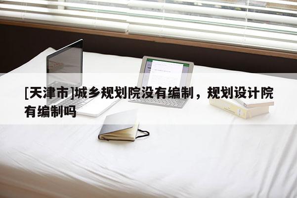 [天津市]城乡规划院没有编制，规划设计院有编制吗