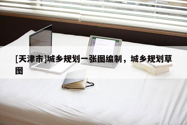 [天津市]城乡规划一张图编制，城乡规划草图