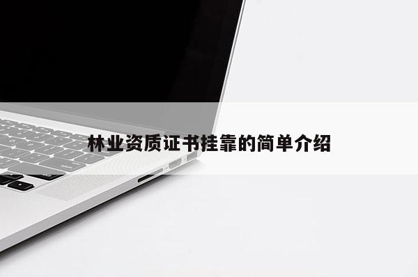 林业资质证书挂靠的简单介绍