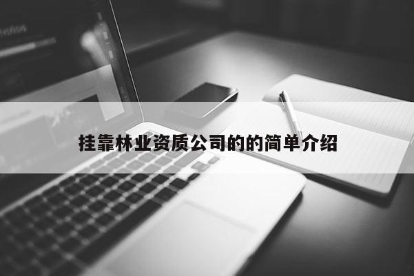 挂靠林业资质公司的的简单介绍