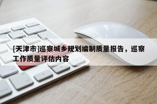 [天津市]巡察城乡规划编制质量报告，巡察工作质量评估内容