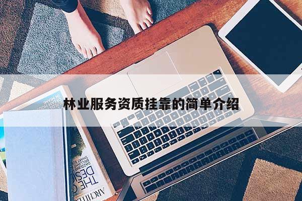 林业服务资质挂靠的简单介绍