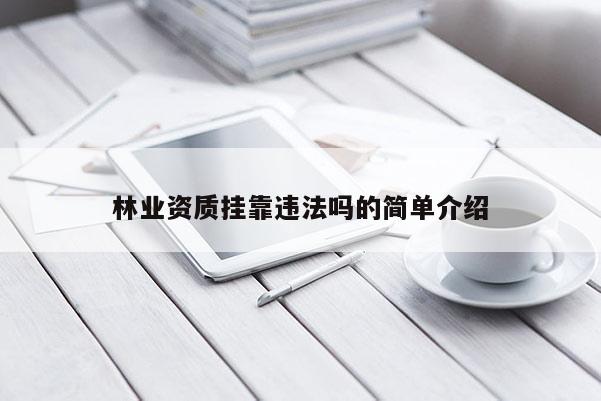 林业资质挂靠违法吗的简单介绍