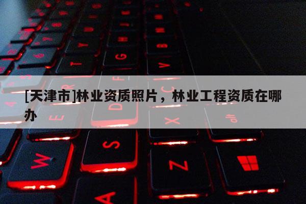 [天津市]林业资质照片，林业工程资质在哪办