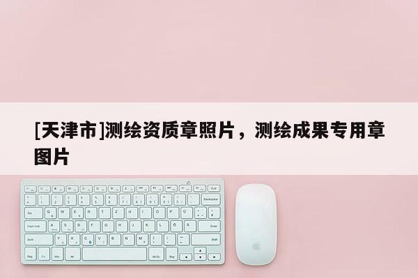 [天津市]测绘资质章照片，测绘成果专用章图片