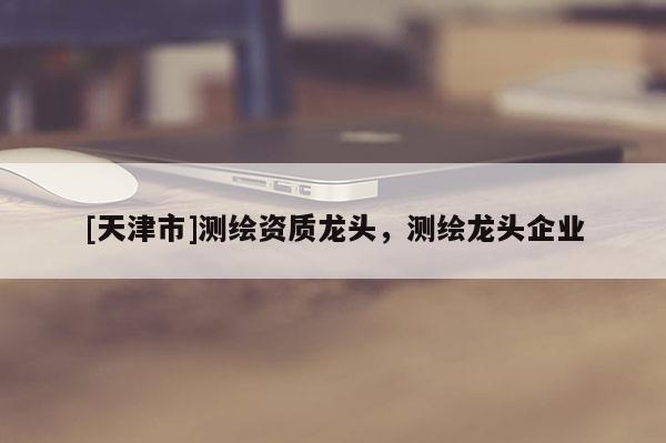 [天津市]测绘资质龙头，测绘龙头企业