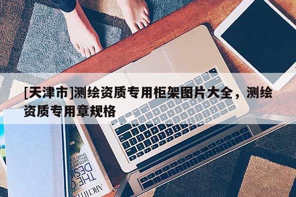 [天津市]测绘资质专用柜架图片大全，测绘资质专用章规格