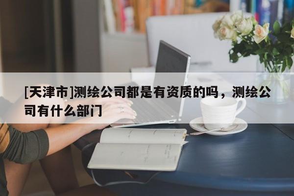 [天津市]测绘公司都是有资质的吗，测绘公司有什么部门