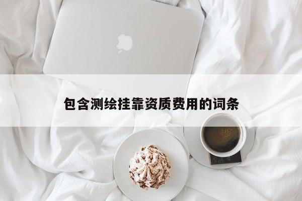 包含测绘挂靠资质费用的词条