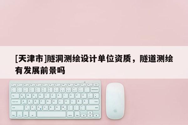 [天津市]隧洞测绘设计单位资质，隧道测绘有发展前景吗
