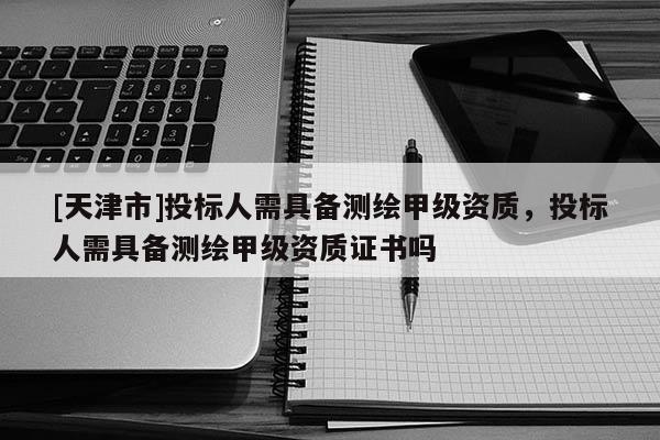 [天津市]投标人需具备测绘甲级资质，投标人需具备测绘甲级资质证书吗