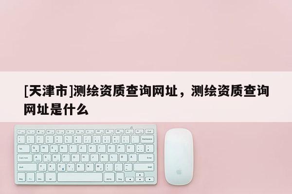 [天津市]测绘资质查询网址，测绘资质查询网址是什么