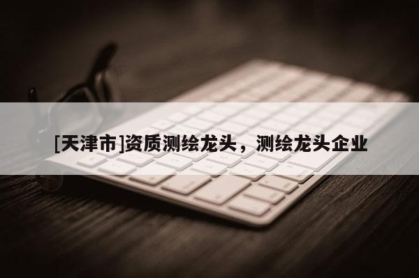 [天津市]资质测绘龙头，测绘龙头企业